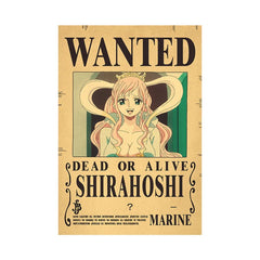 Piece One - Affiches "WANTED" - Style Rétro Kraft - Tout les personnages